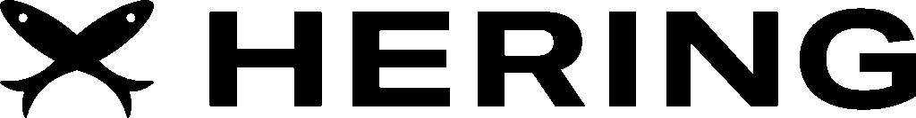 Logo Hering - Just Real Moms Business Summit 2025
